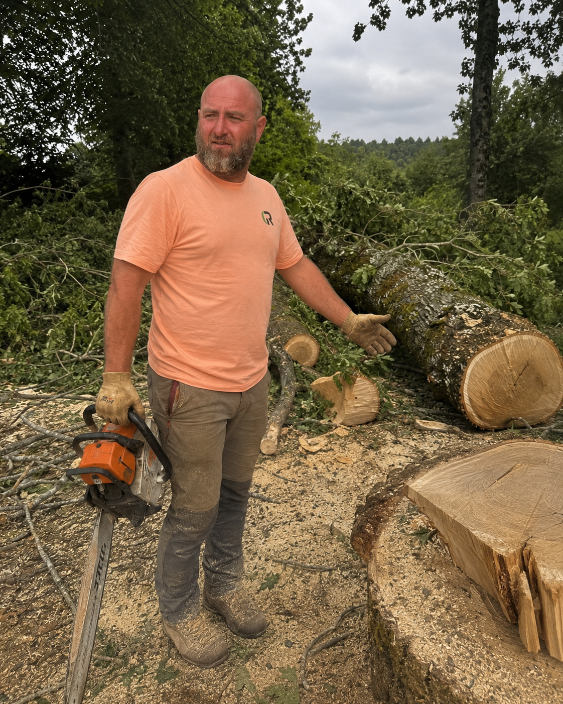 Ruddy Élagage sur un chantier d'abattage d'arbre